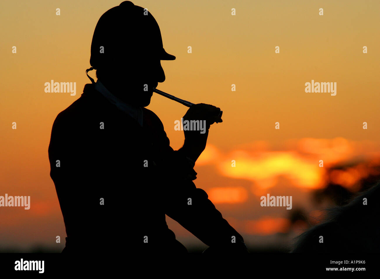 Silhouette of a huntsman sounding the horn to signal the start of a dawn hunt in Gloucester UK Stock Photo