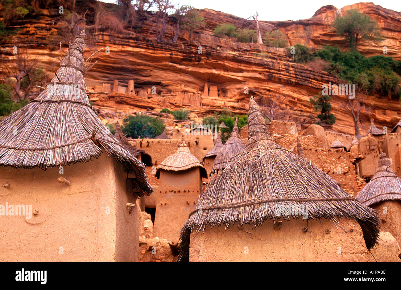 Pointed thatched roofs of Banani village Dogon granaries beneath the Bandiagara Escarpment cliff near Sangha Mali Stock Photo