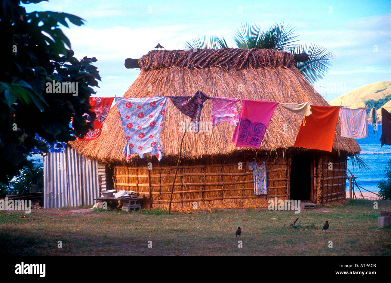 Traditional thatched hut bure with washing Fiji Stock Photo