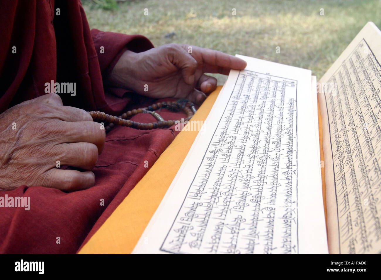 A Tibetan Buddhist Monk reads a traditional Buddhist sutra (scripture