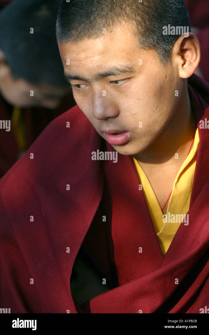 A young Tibetan Buddhist monk sits in his traditional robe at the ...