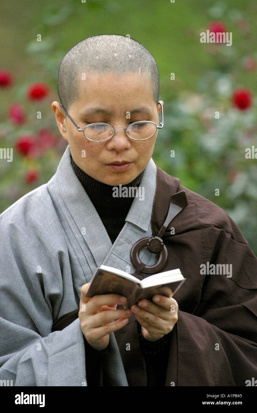 A Korean Zen Buddhist nun reads from a book in Bodhgaya in Bihar in