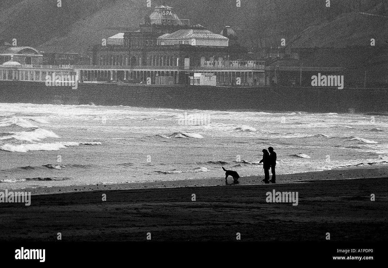 Two people with dog in silhouette on a beach showing very coarse grain in a monochrome image. Stock Photo