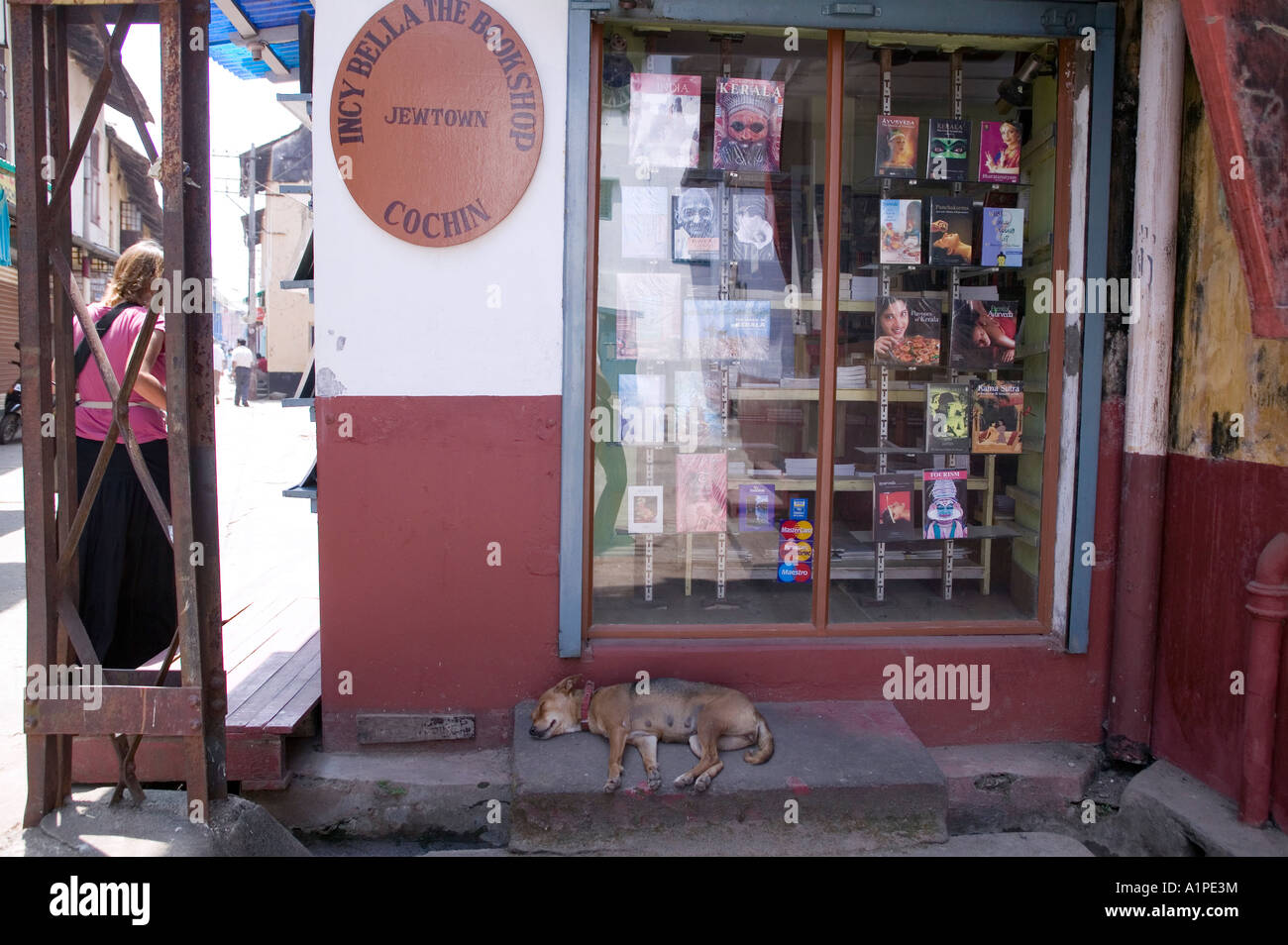 Dog sleeps outside of a bookstore near the old Jewish Synagogue in Fort Cochin Kerala India Stock Photo