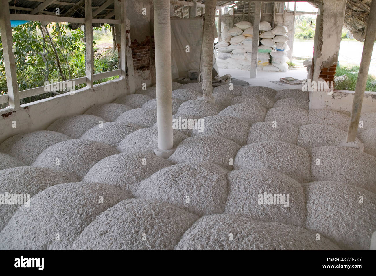 Piles of freshly ground lime shells an important ingredient in cement