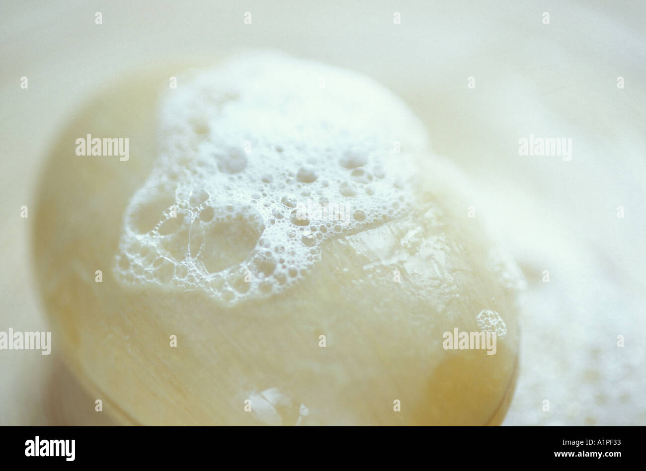 Wet bar of soap, closeup Stock Photo Alamy
