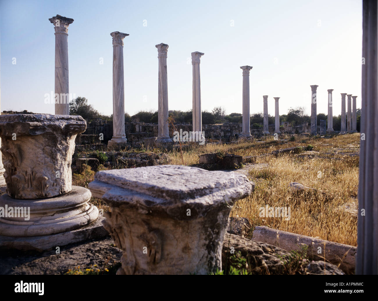 Salamis amphitheatre hi-res stock photography and images - Alamy