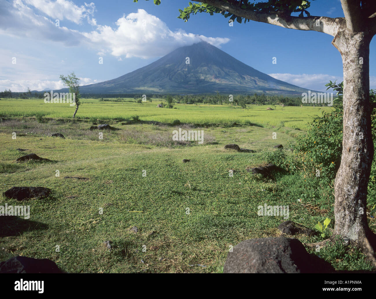 The Mayon Volcano, Bicol, Philippines. Stock Photo