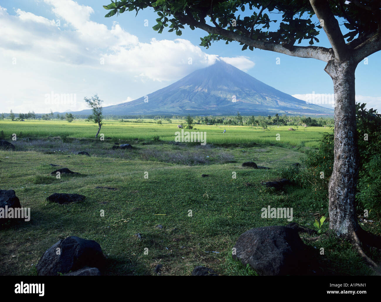 Mayon Volcano, Bicol, Philippines. Stock Photo
