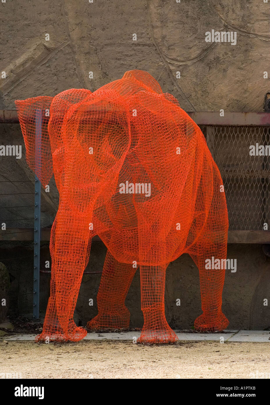 Wire frame sculpture of Elephant at Melbourne Zoo, Australia Stock Photo