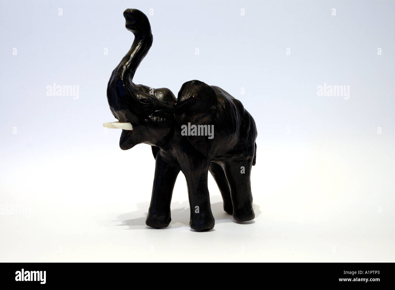 Elephant figure for good luck Stock Photo Alamy