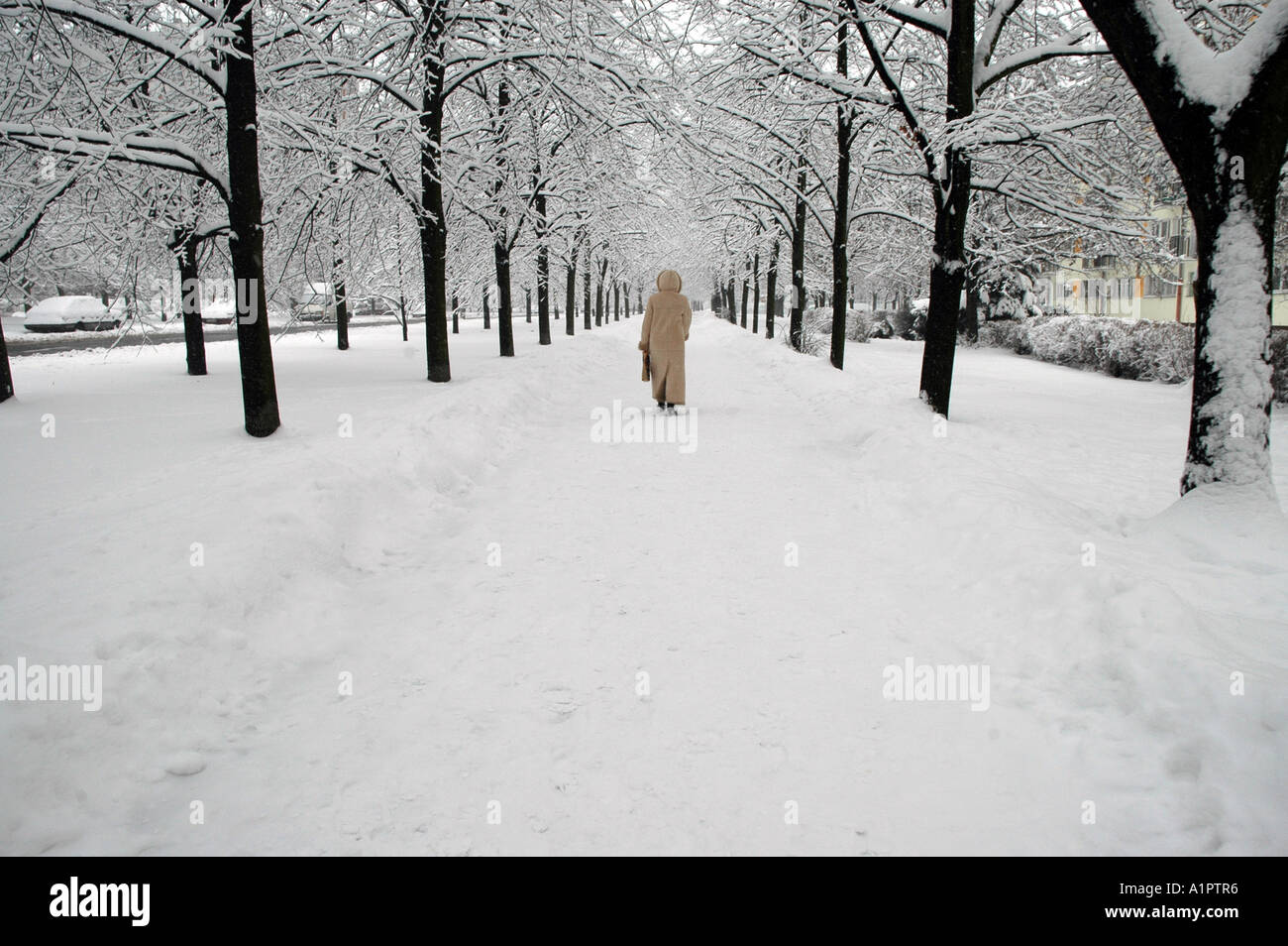 Woman walking outside winter hi-res stock photography and images - Alamy