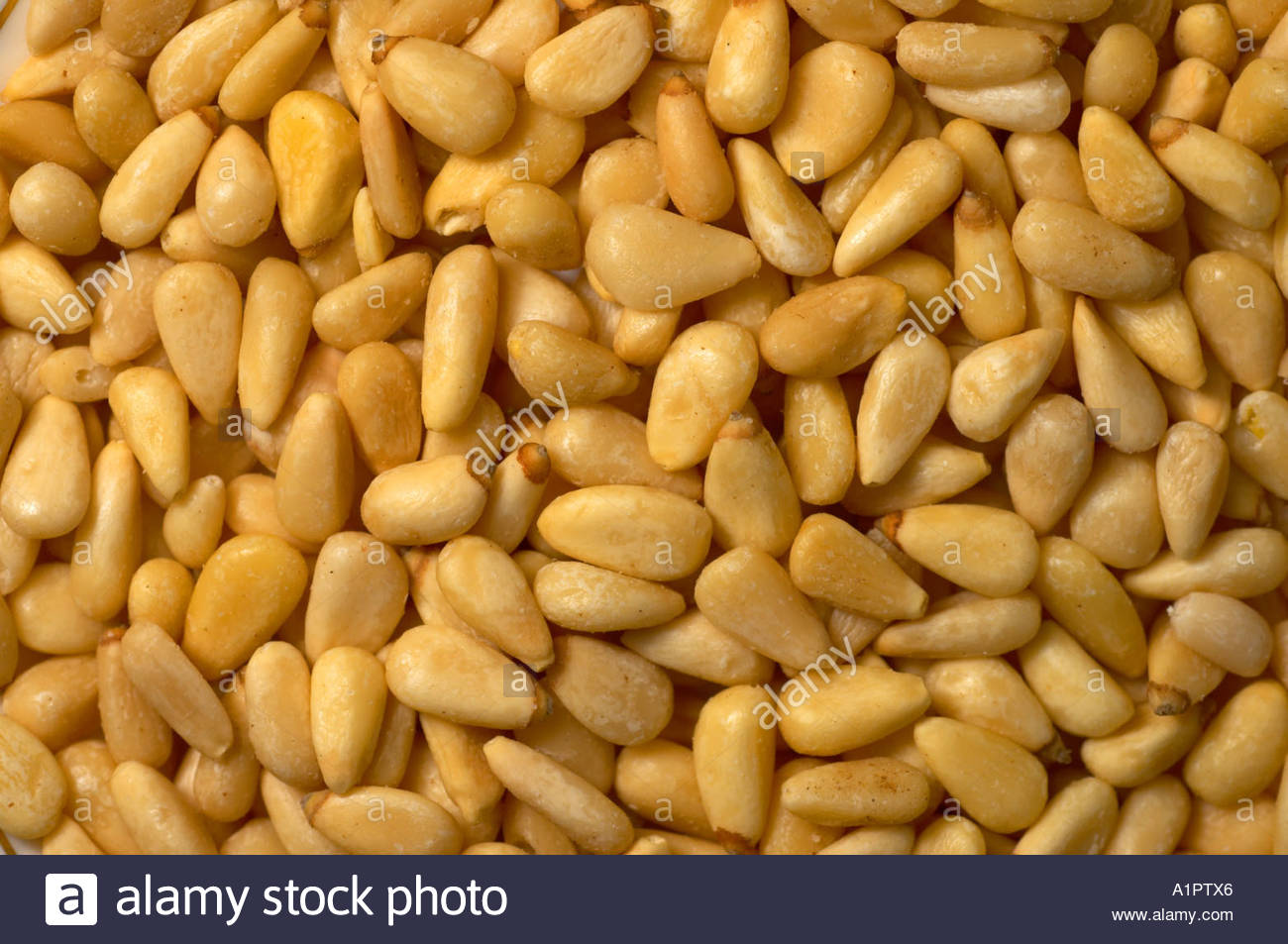A number of pinenuts closeup Stock Photo