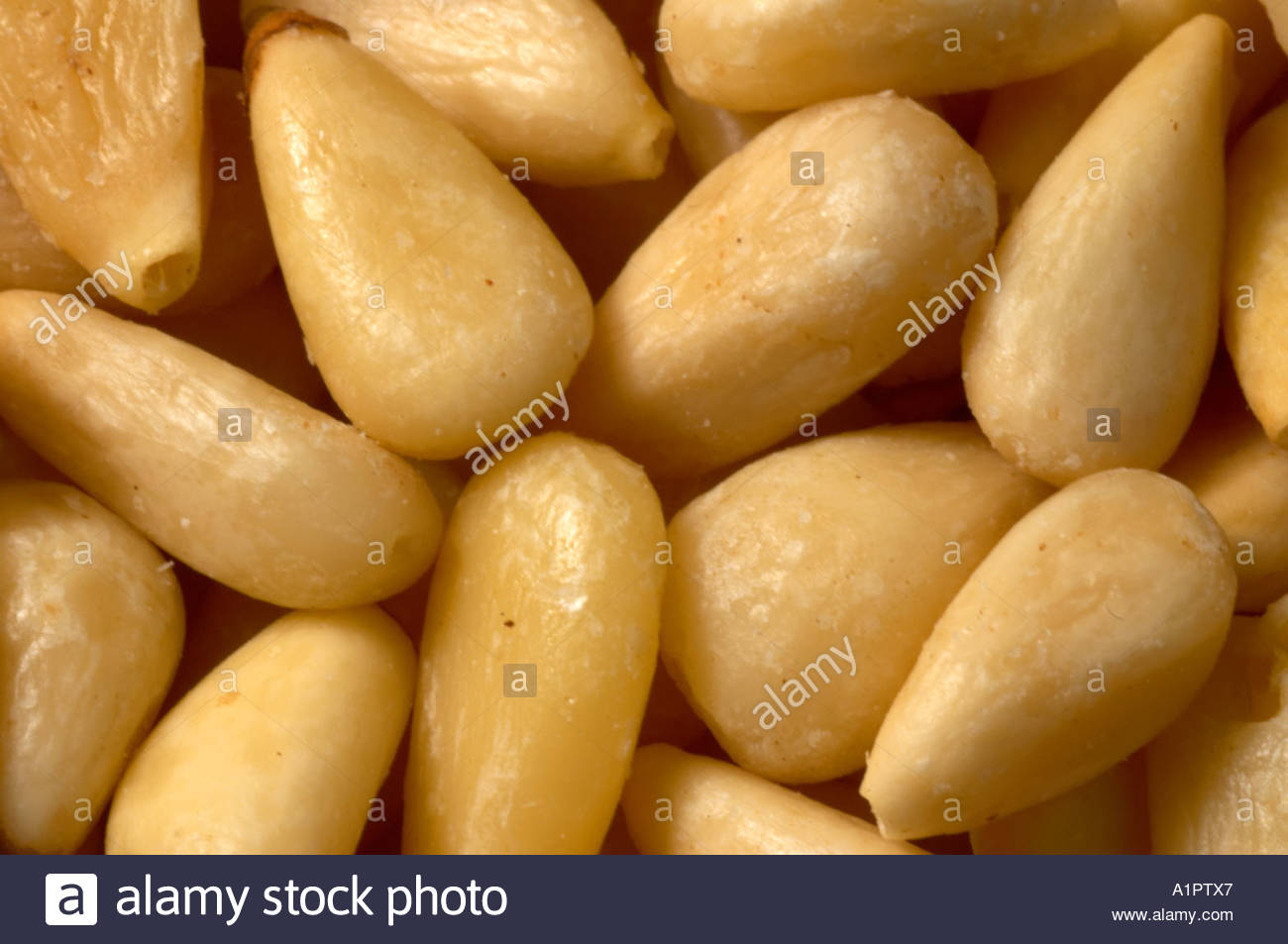 A number of pine nuts close up Stock Photo