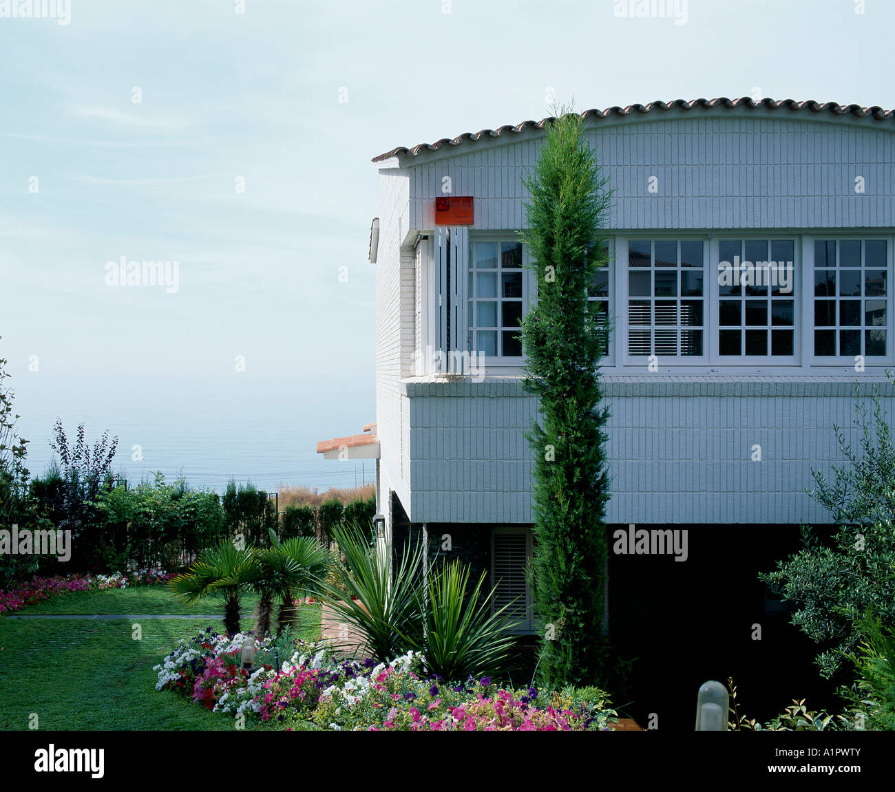 Beautiful house plants on hi-res stock photography and images - Alamy