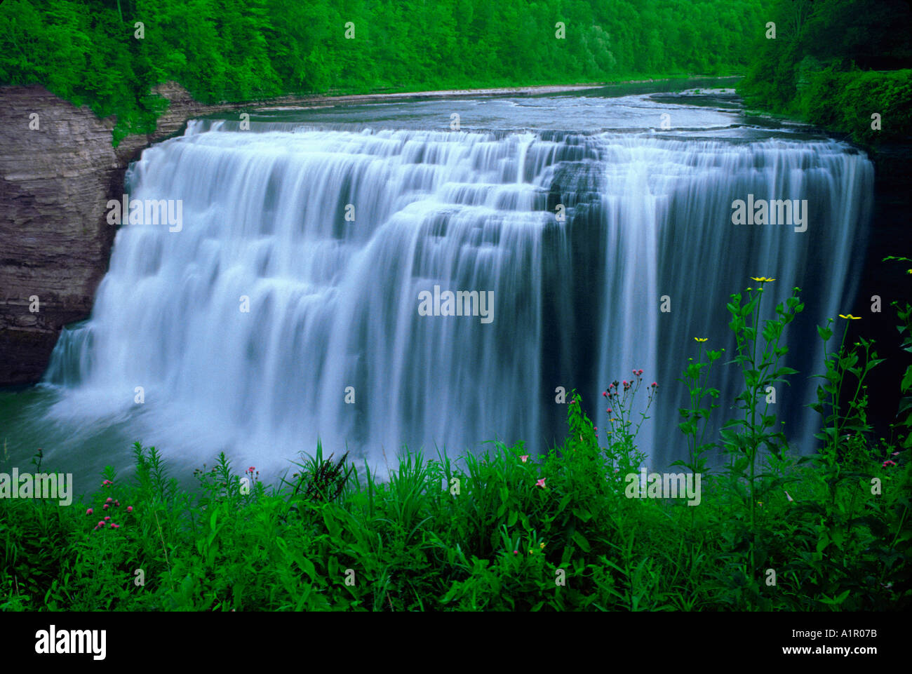 Bushkill River Pocono Mountains Pennsylvania USA Stock Photo - Alamy