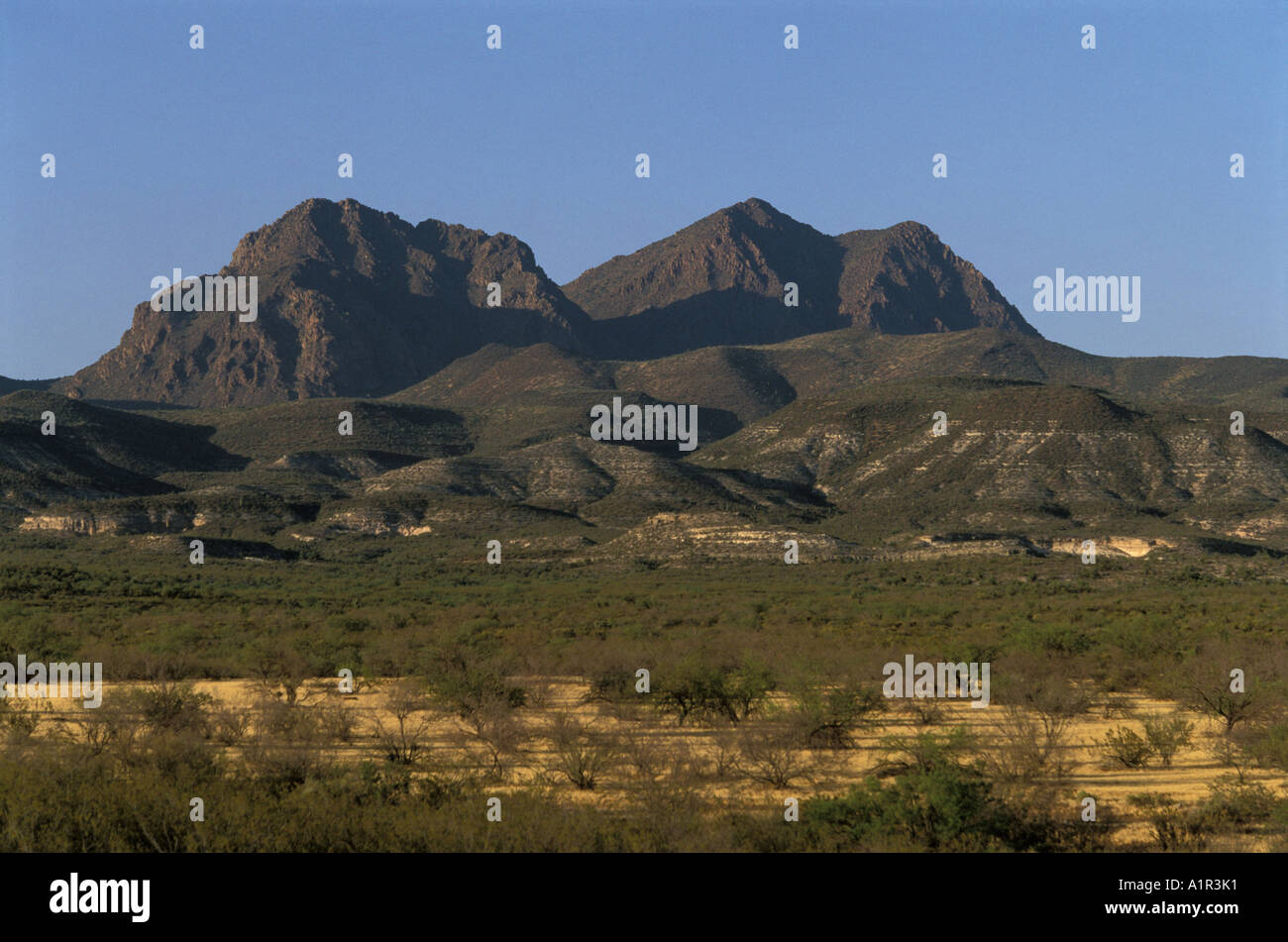 San Carlos Apache reservation Arizona