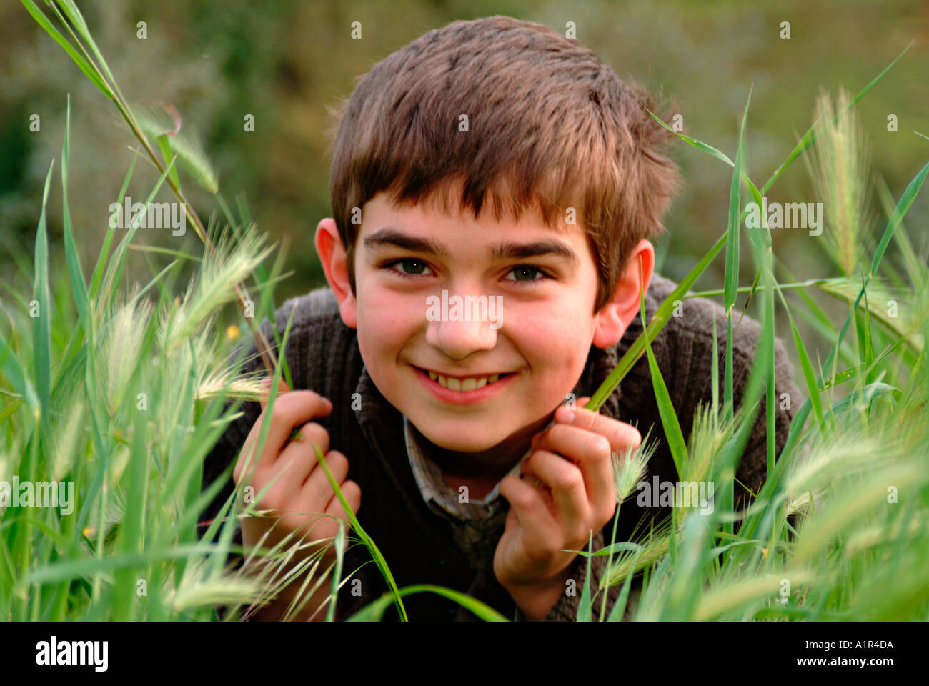 Dark haired boy hi-res stock photography and images - Alamy