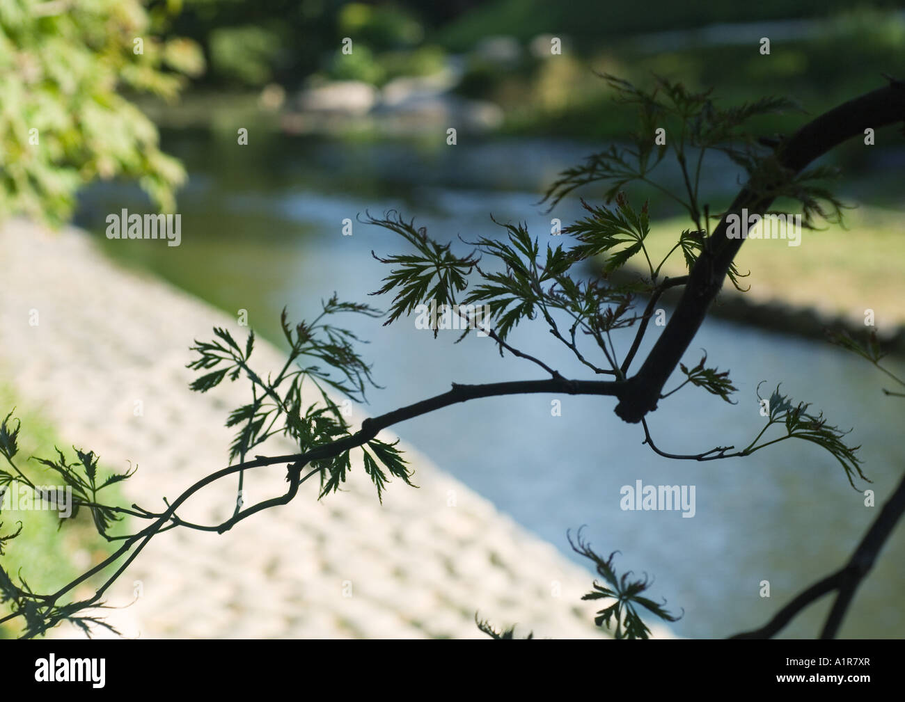 Japanese waterway scenery hi-res stock photography and images - Alamy