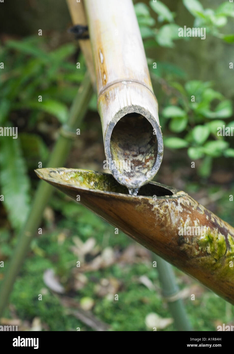 Bamboo water pipes Stock Photo Alamy
