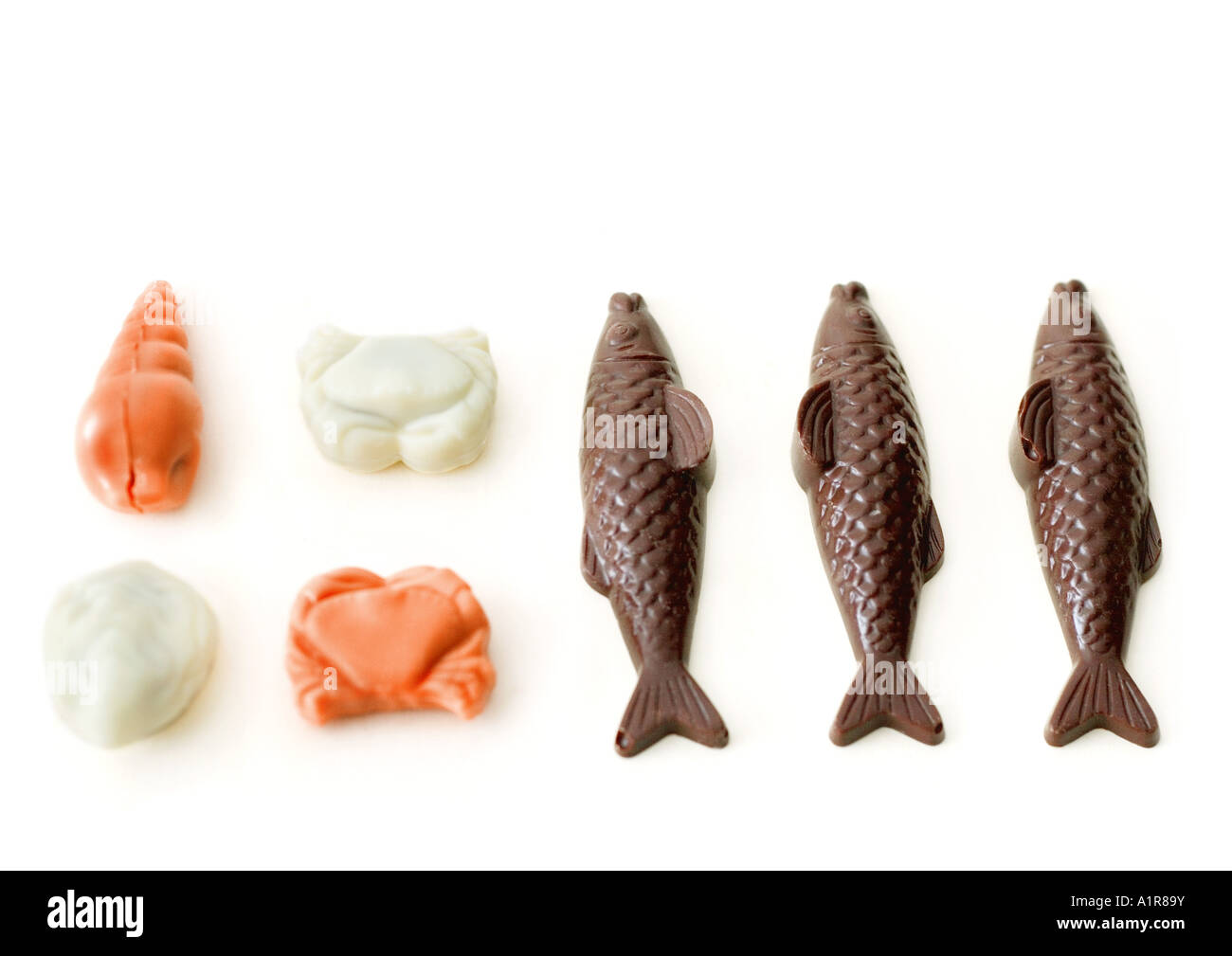 Chocolate fish and sea creatures Stock Photo Alamy