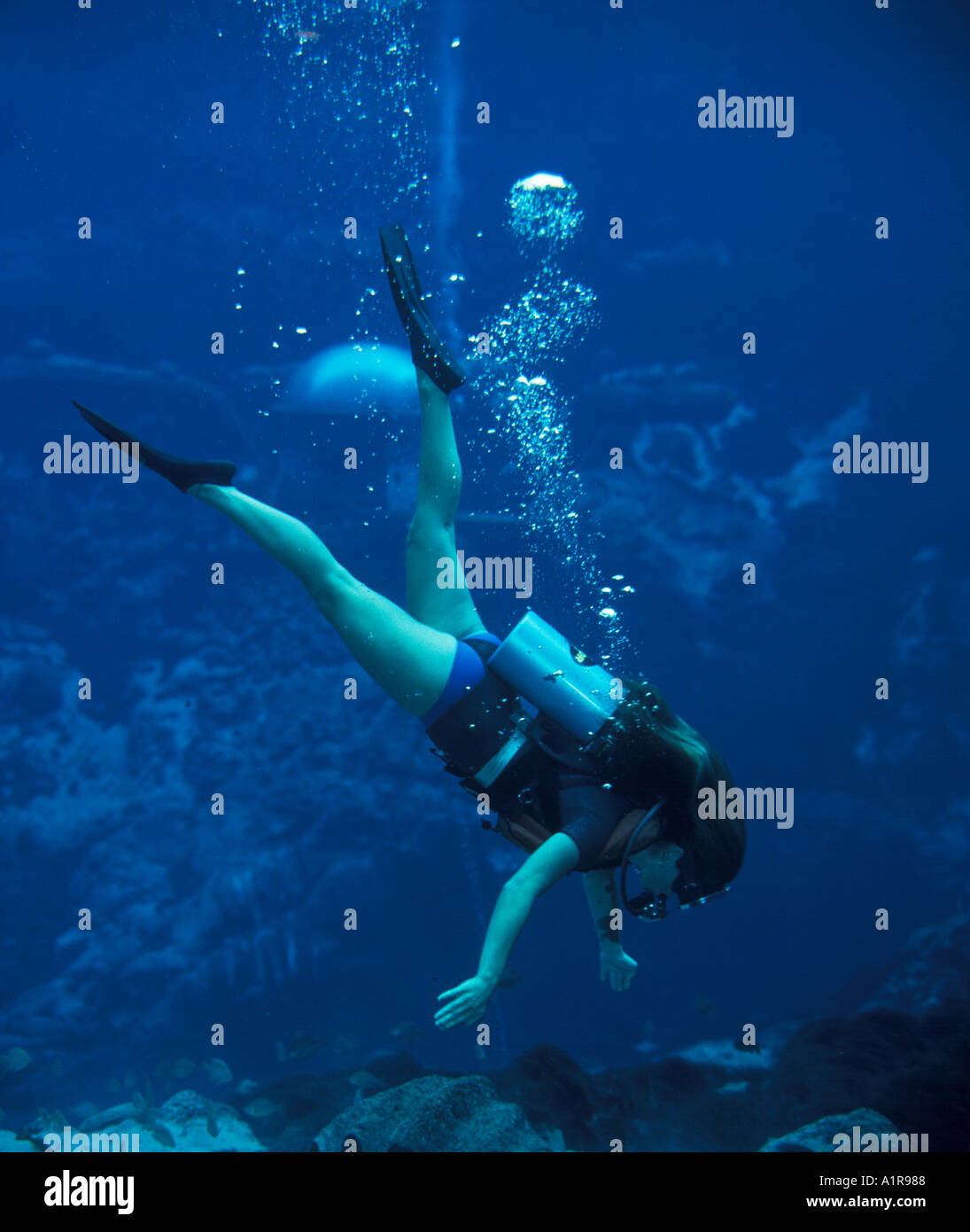 skin diver exploring Florida spring Stock Photo Alamy