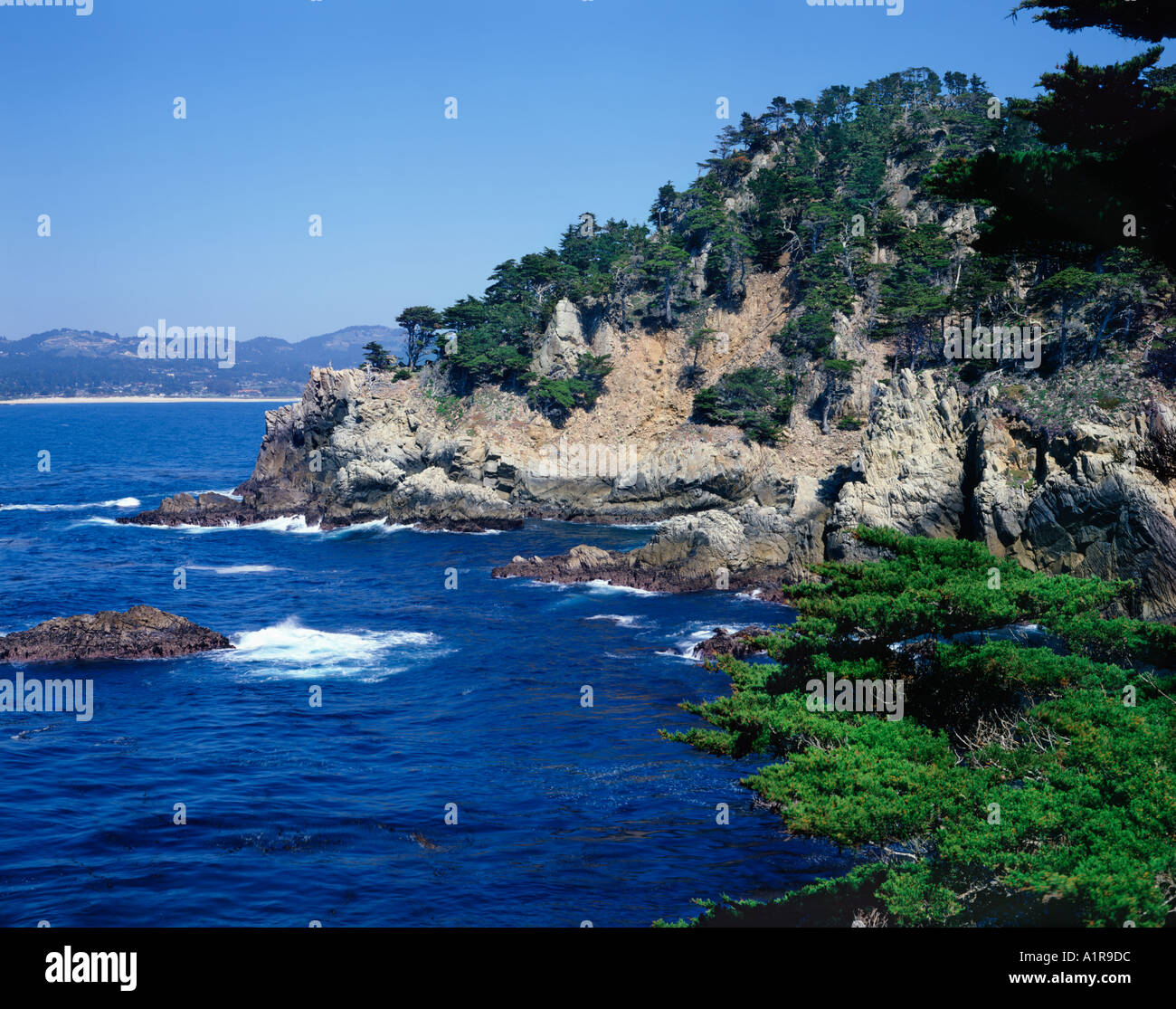 Point Lobos State Park on Monterey Peninsula in California USA Stock Photo