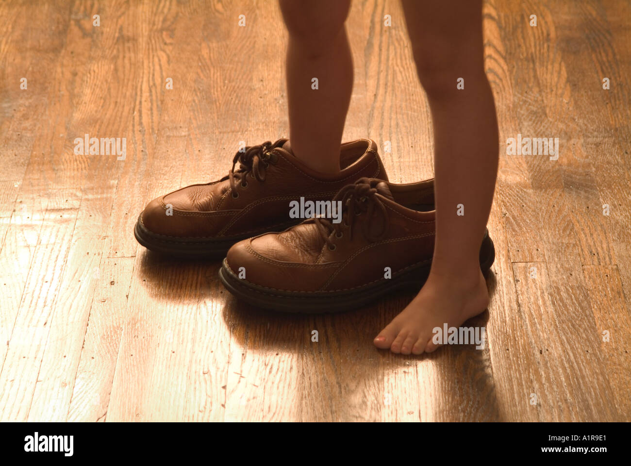 Child Wearing Dads Shoes Stock Photo 1915360 Alamy