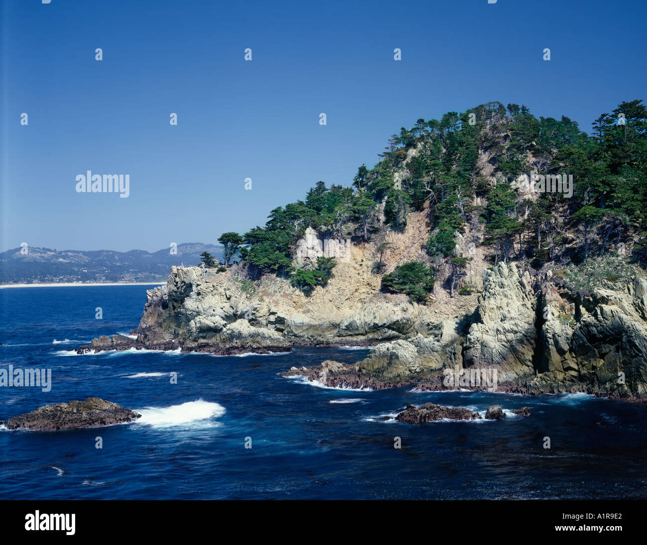 Point Lobos State Park on Monterey Peninsula in California USA Stock Photo