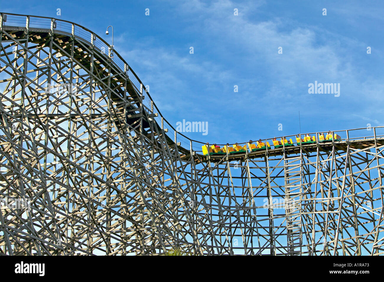 Gwazi Wooden Roller Coaster At Busch Garden Tampa Florida Stock