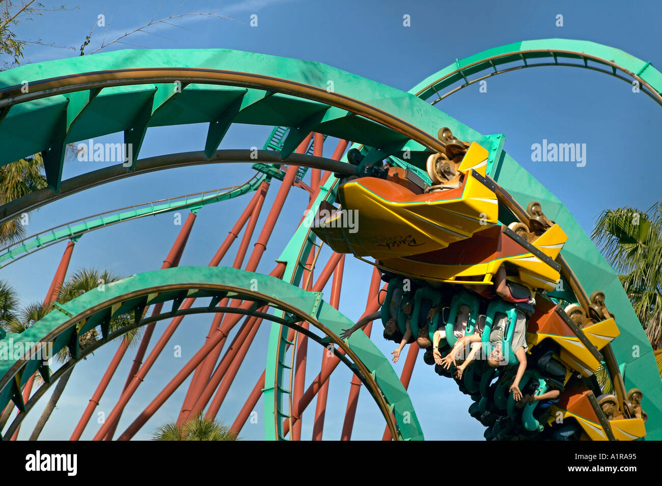 Riders Loop Up Side Down On Kumba Roiller Coaster Busch Gardens