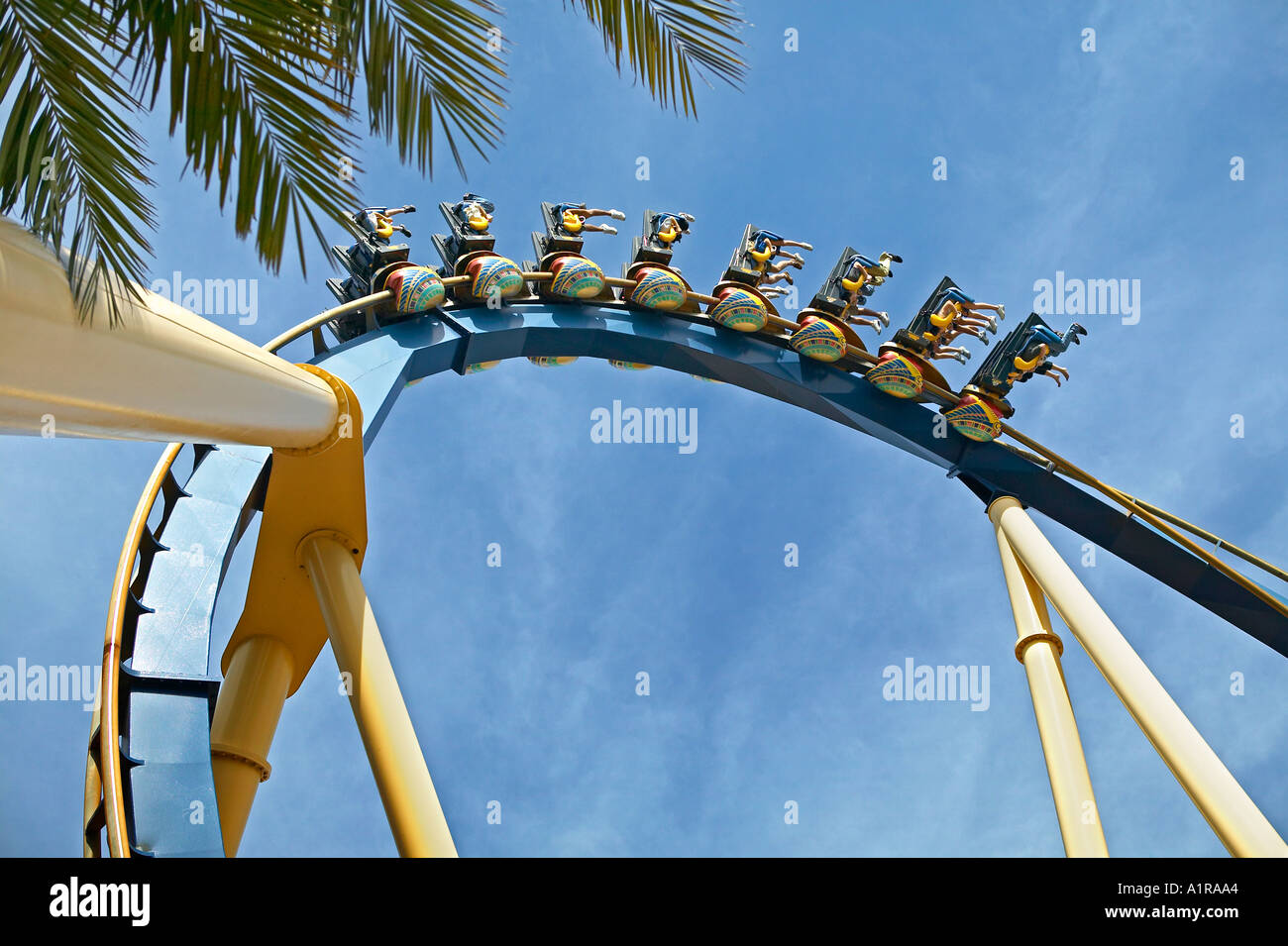 Busch Gardens Africa » Montu » montu-turn1.jpg