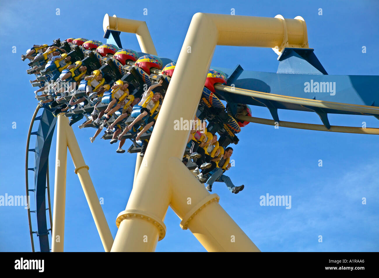 Riders hang suspended from the Montu roller coaster at Busch Garden Tampa  Florida USA Stock Photo - Alamy