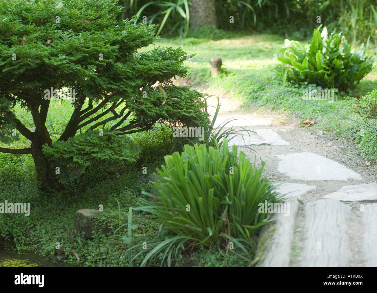 Landscaping, pathway through yard Stock Photo