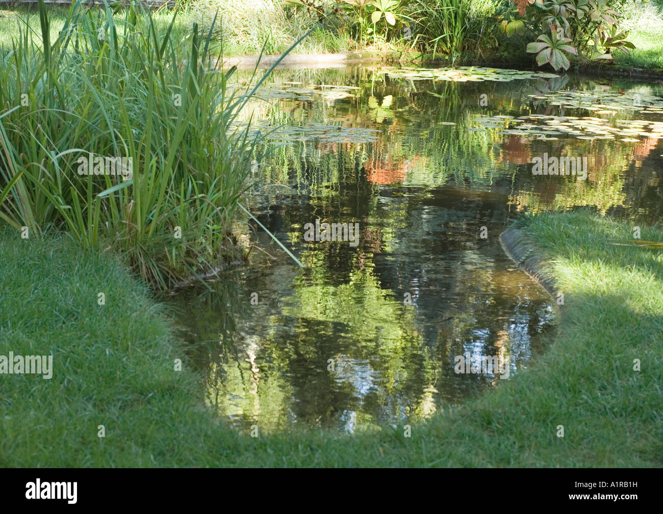 Landscaping pond hi-res stock photography and images - Alamy