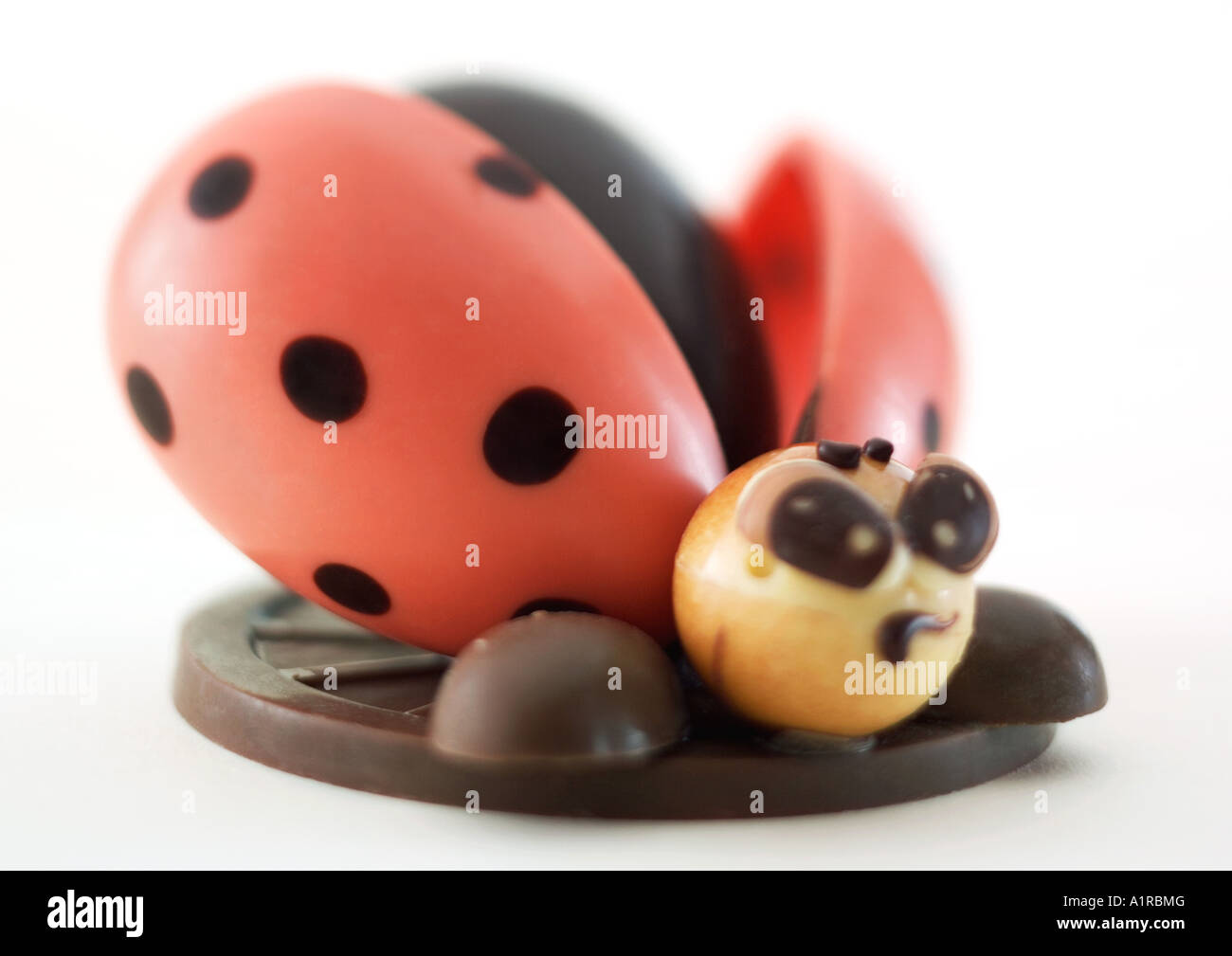 Chocolate ladybug Stock Photo Alamy