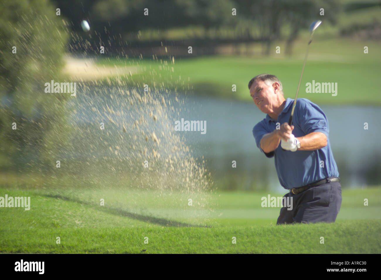 Senior man hits golf shot from sand trap Stock Photo Alamy