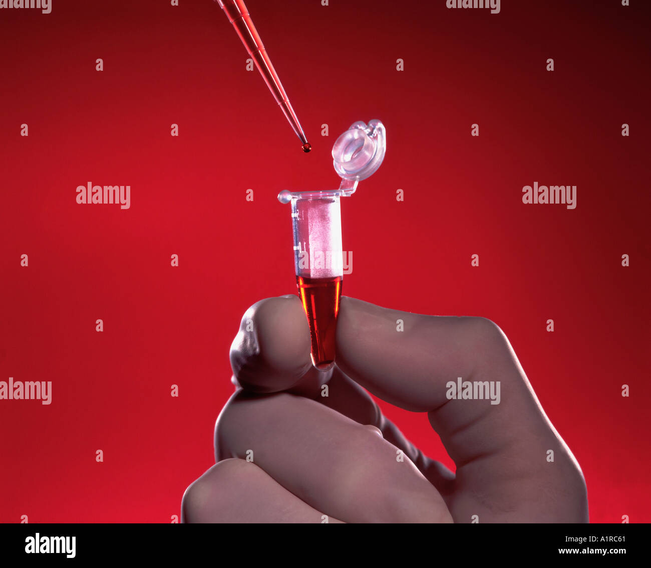 Medical testing equipment pipette tip and tube Stock Photo Alamy