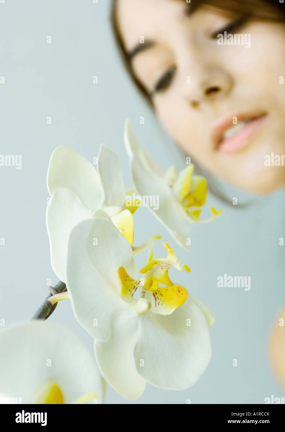 Woman looking at orchid Stock Photo