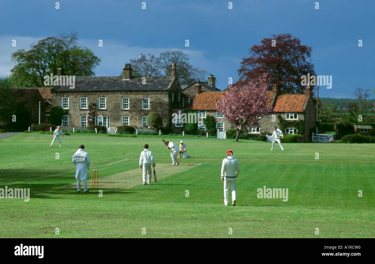 Village cricket match at Crakehall, near Bedale, North Yorkshire ...