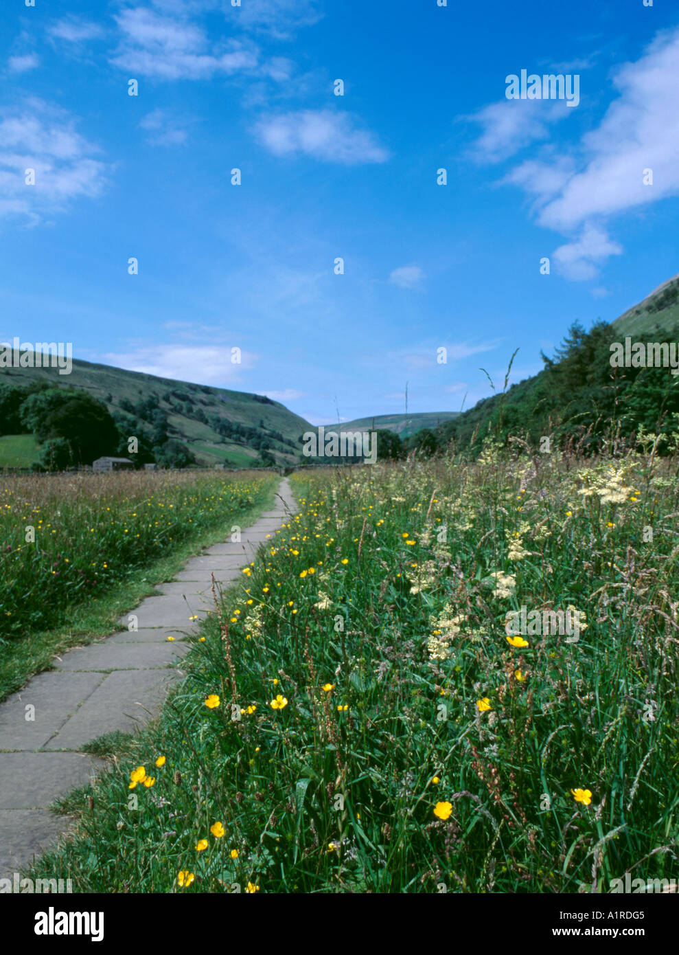 Wild flower meadow between the villages of Keld and Muker, Upper Swaledale, North Yorkshire, England, UK. Stock Photo