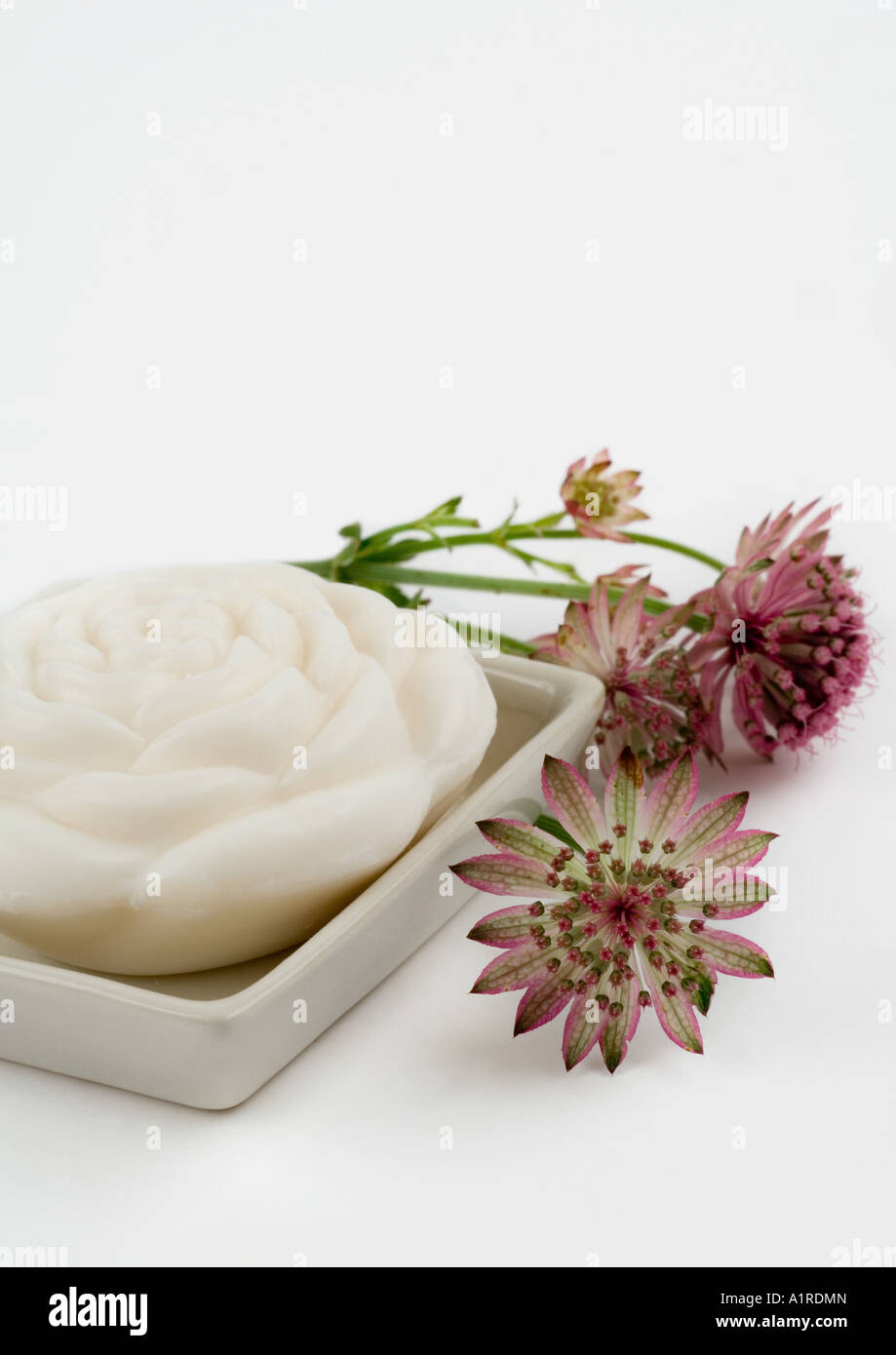 Bars of soap and astrantia flowers Stock Photo