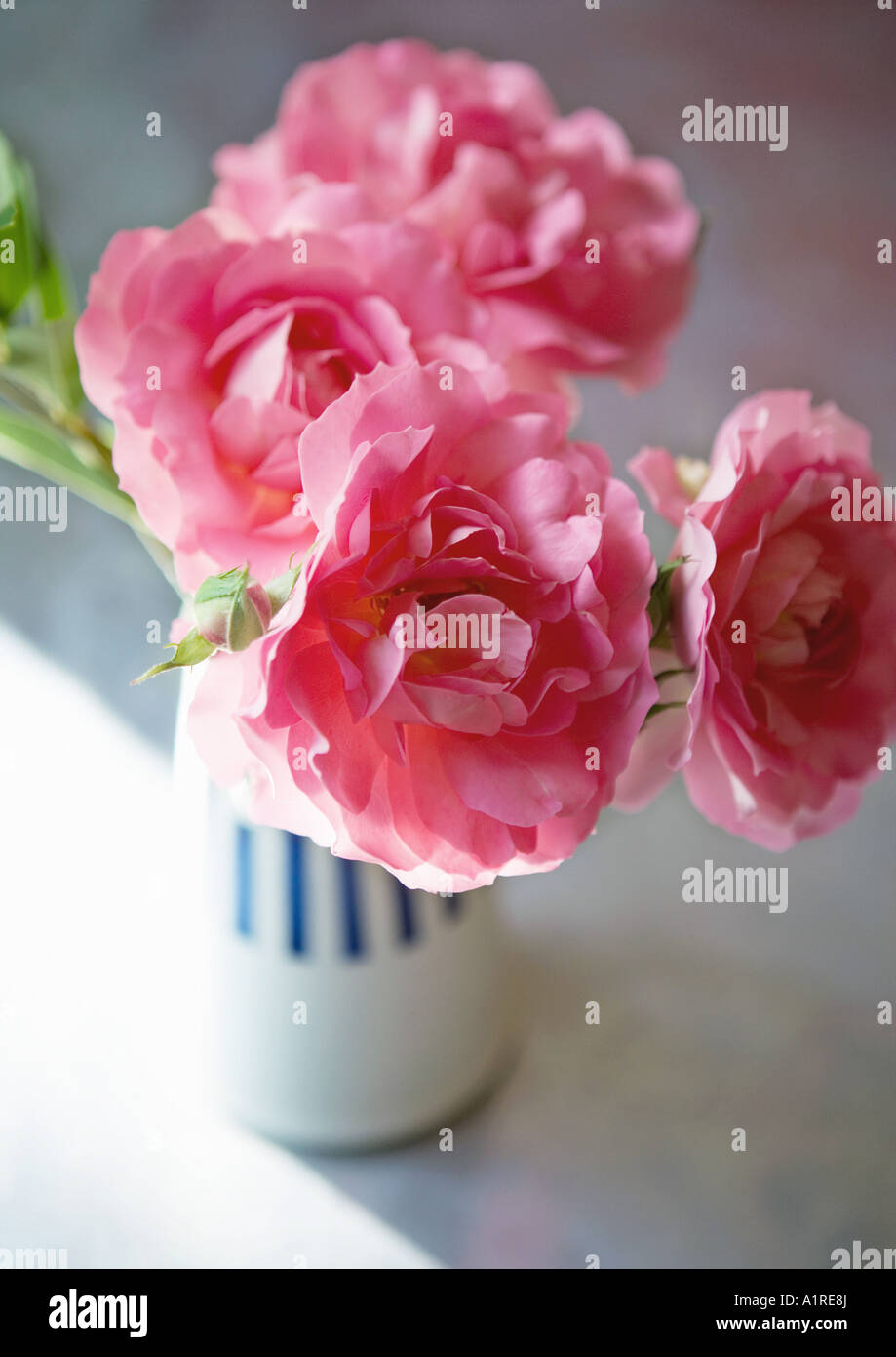 Peonies in vase Stock Photo Alamy