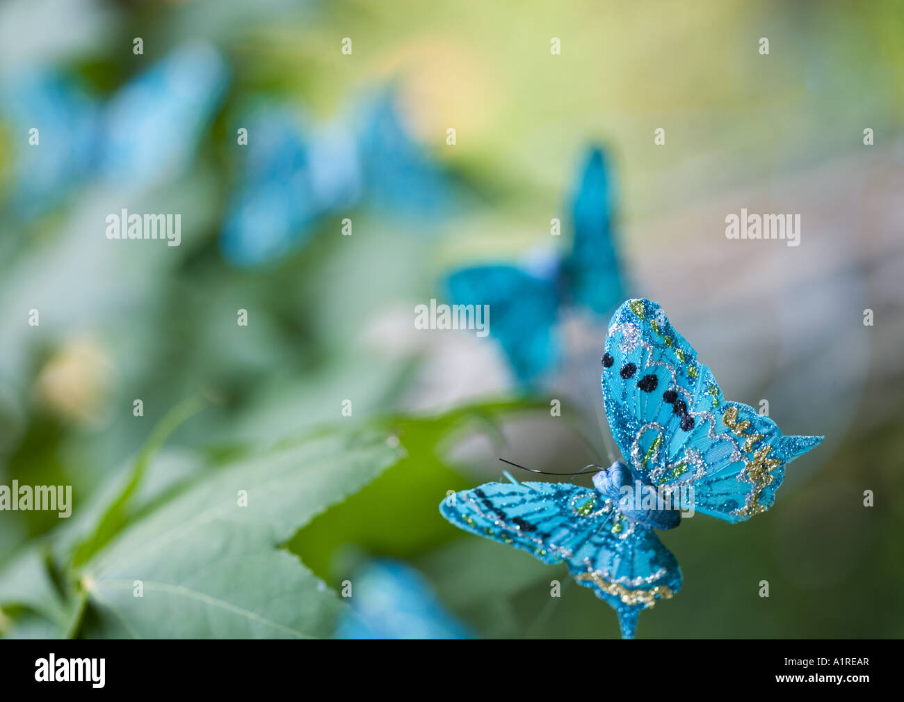 Fake butterflies hi-res stock photography and images - Alamy