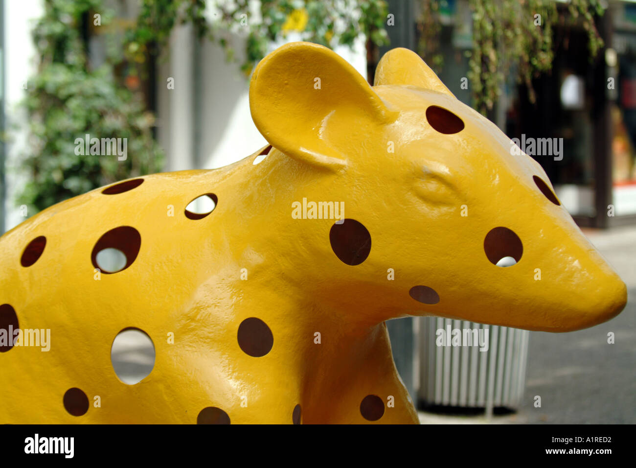 cheese cheesy rat Stock Photo - Alamy