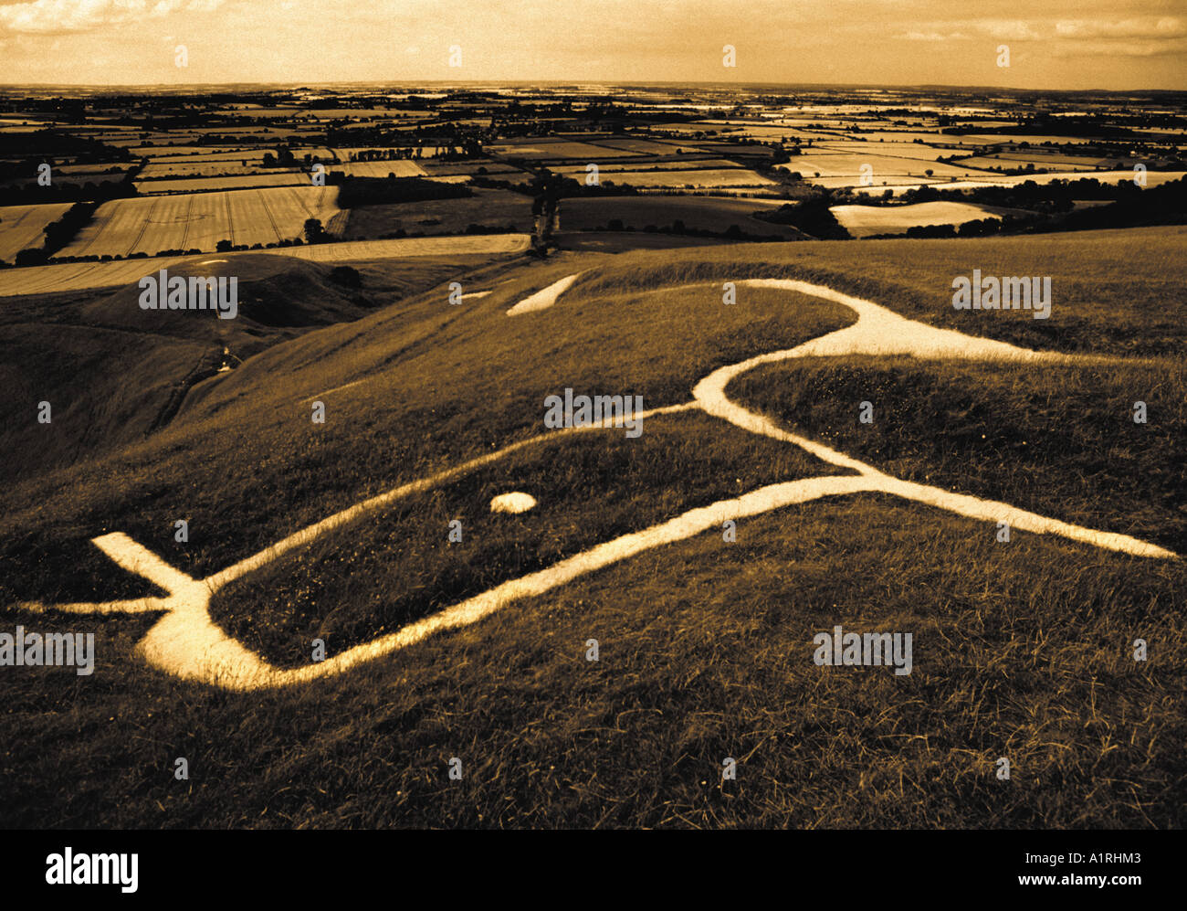 The White Horse Uffington England UK Stock Photo Alamy