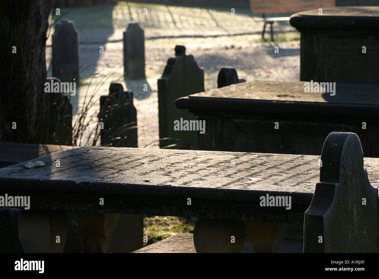 Back lit tombs and old dark stone grave markers on a frosty sunny