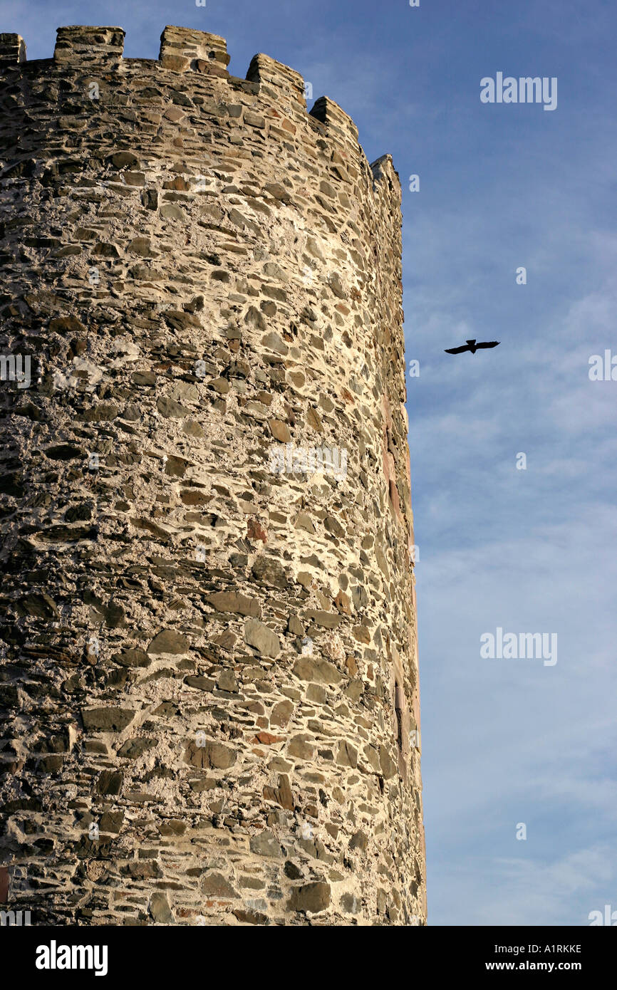 Tower House: A bird flies by the fortified Tower House a building of special interest Stock Photo
