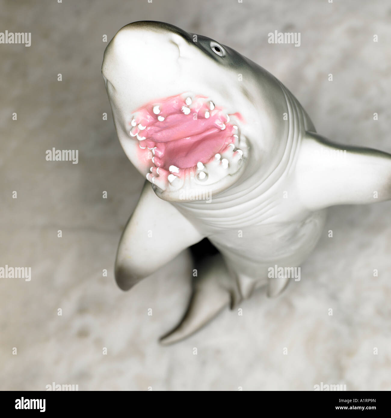 sand tiger shark toy