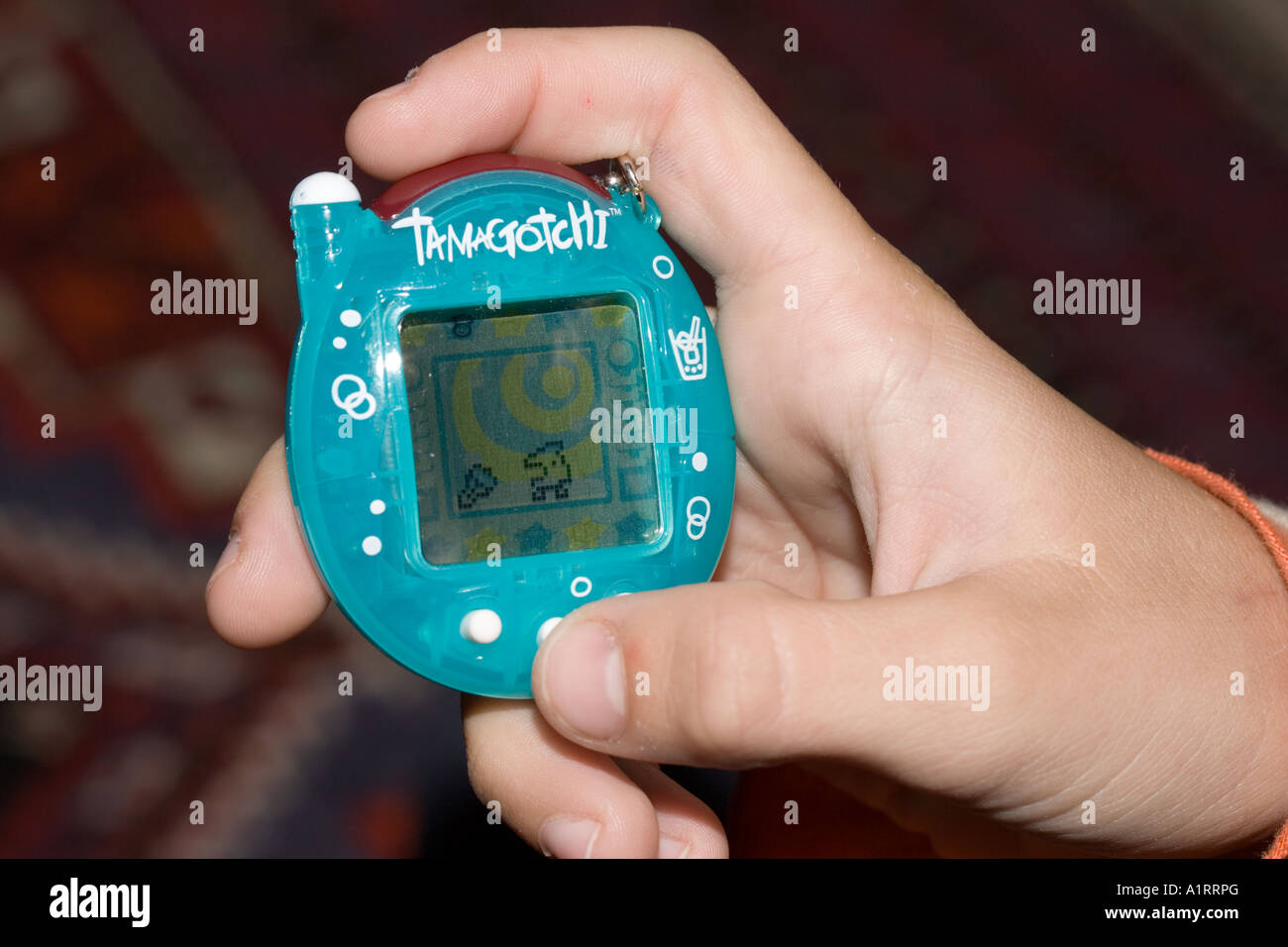 hand of young boy UK Stock Photo 